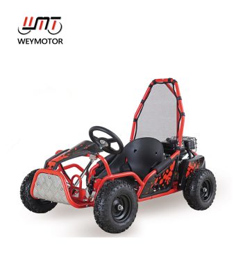 WeyMotor 80cc gas buggy for kids FSD80GKM front view