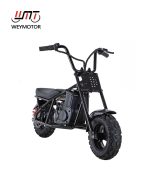 Weymotor FSD250E-QS electric mini bike