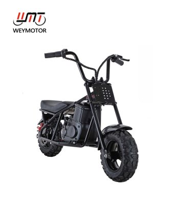 Weymotor FSD250E-QS electric mini bike