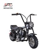 Weymotor FSD40P-QS 40cc Mini Bike for Kids